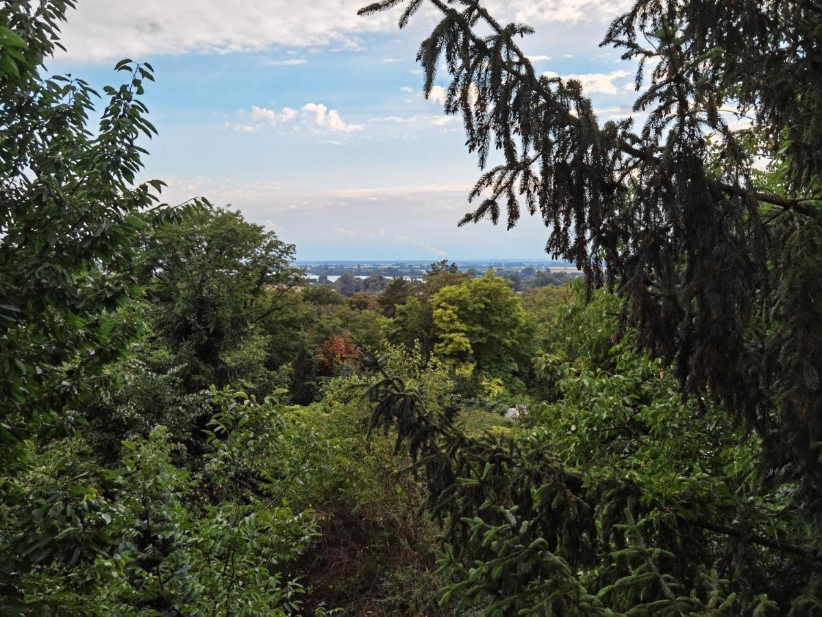 Sunset House Piestany Cervena Veza Apartment Banka ภายนอก รูปภาพ